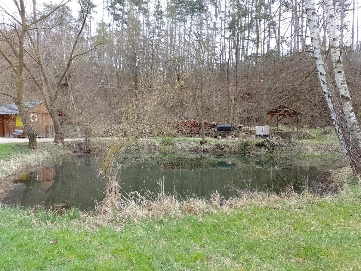 Penzion Litohlavy 17 - Na Samote U Lesa Králŭv Dvŭr Exterior foto