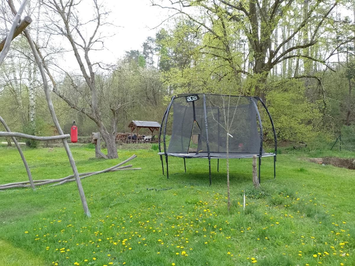 Penzion Litohlavy 17 - Na Samote U Lesa Králŭv Dvŭr Exterior foto